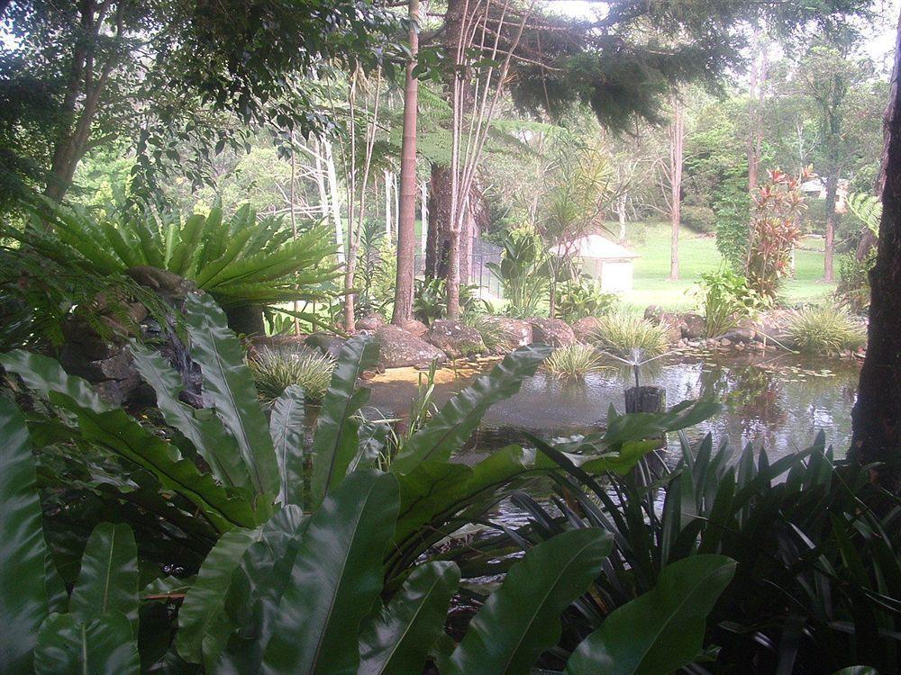 Bendles Cottages Maleny Dış mekan fotoğraf