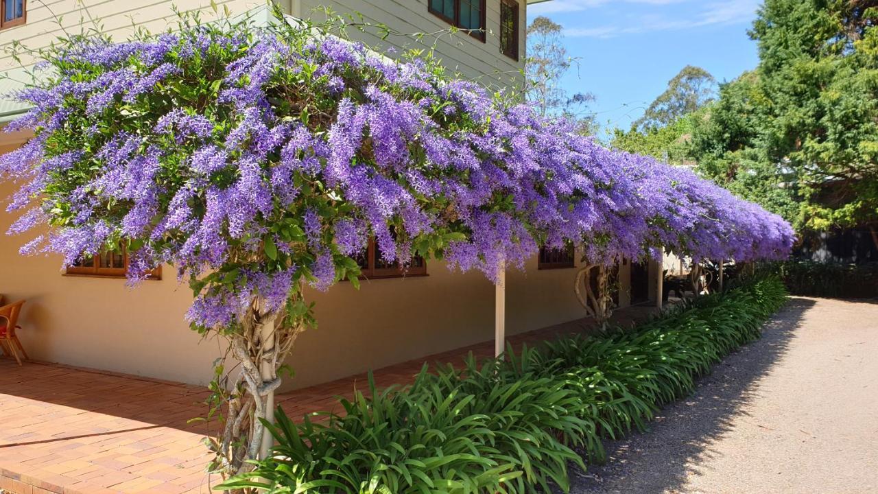 Bendles Cottages Maleny Dış mekan fotoğraf